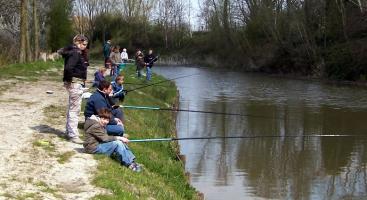 Sauvegarde de la zone de bois et d'étang d'Esquelbecq
