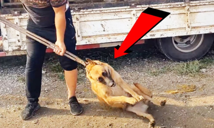 Signaler cette chaîne Youtube