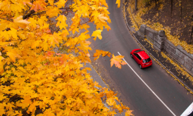 Sécurisation de la traversée de cardesse et déviation