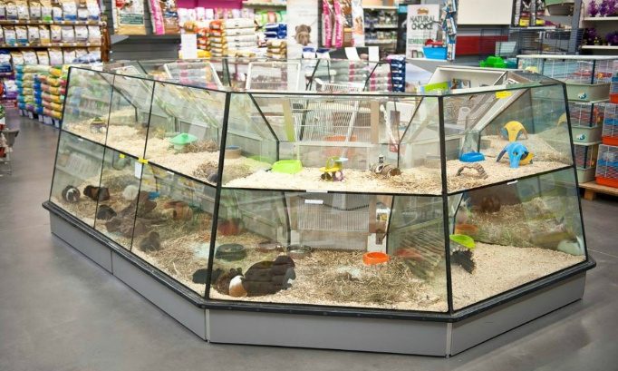 INTERDIRE LA VENTE D’ANIMAUX CHEZ NOA ANIMALERIE