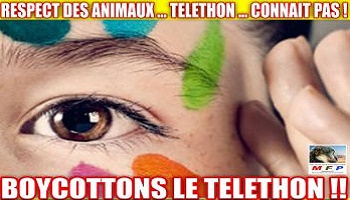 Demandons au téléthon de ne plus financer l'expérimentation animale en faveur des méthodes substitutives existantes