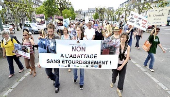 Non à l'abattoir provisoire halal à Belfort ! Non à l'abattage rituel sans étourdissement sur le territoire français !