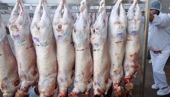 Arrêtez cette barbarie !