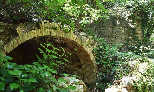 Pour la protection de l’espace boisé du Bastidon Forcalqueiret