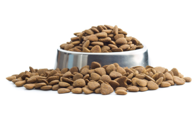 LES CROQUETTES SONT MAUVAISES POUR NOS AMIS À 4 PATTES !