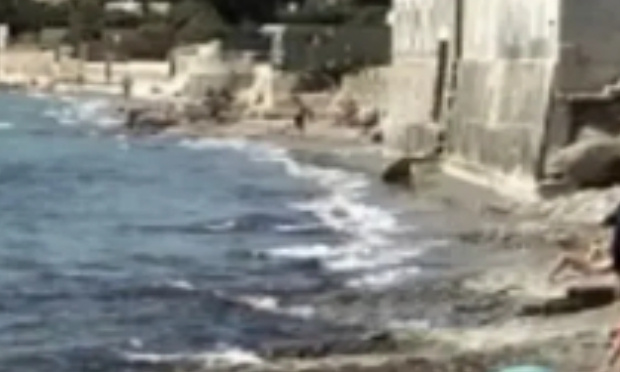 Maintien de la plage aux chiens sur le site de fontsainte la ciotat