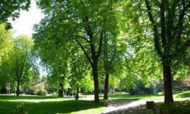 Parc Salvator Mulhouse : Oui à la vie et aux animations, mais pas dans n'importe quelles conditions !