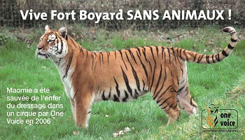 Vive Fort Boyard sans animaux !