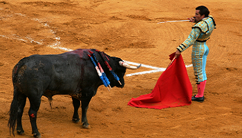 Abolition de la mise à mort dans les corridas