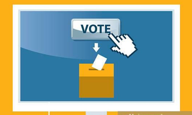 Pouvoir voter en ligne pour les élections en France