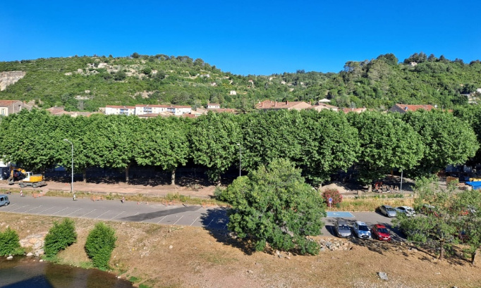 Pour la préservation de tous les platanes de la place Pasteur à Bédarieux