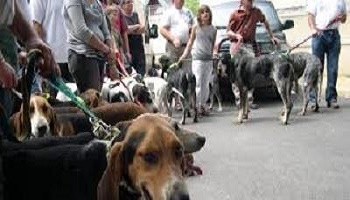 Annulation du salon de chasse sur le thème de la mise à mort et de la corrida prévu le 25 juillet 2015