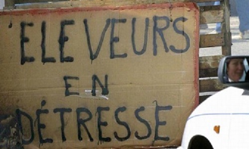 Soutien aux familles d'agriculteurs suicidés
