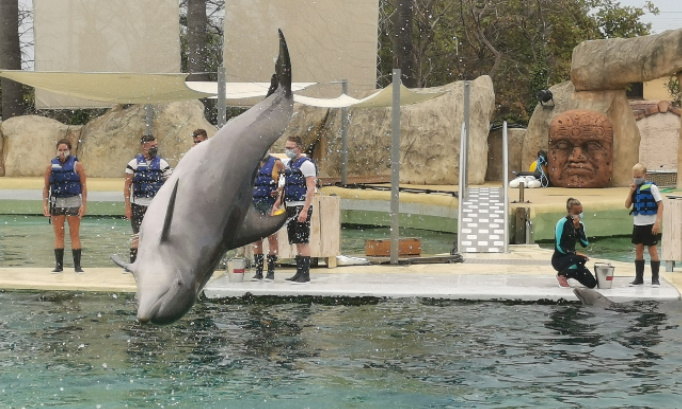 P&eacute;tition urgente non &agrave; la fermeture d&eacute;finitive du marineland d antibes