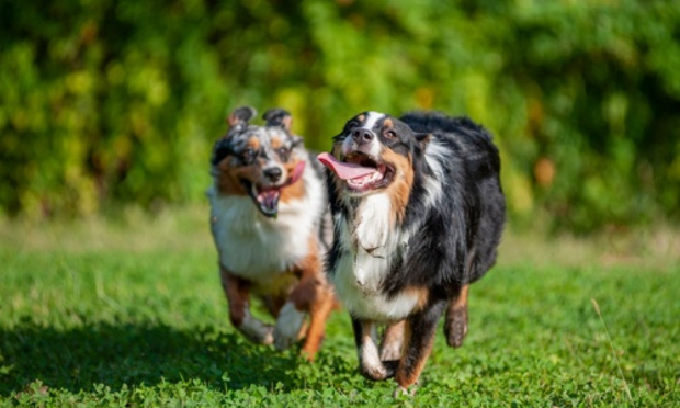 Dénoncez une injustice