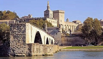 Arretez la maltraitence des chiens