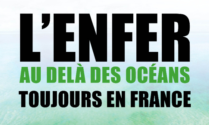 RESPECT DES LOIS ET STÉRILISATION POUR LES ANIMAUX DE L’ILE DE LA REUNION