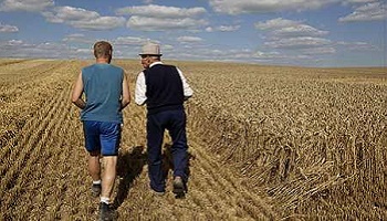 Augmentons immédiatement la retraite des agriculteurs !
