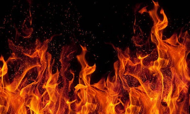 URGENCE ! Seule solution au dérèglement climatique : le Crédit carbone individuel.