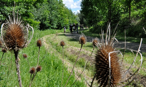 Pour un meilleur entretient du parc du bois de l'étoile 93220