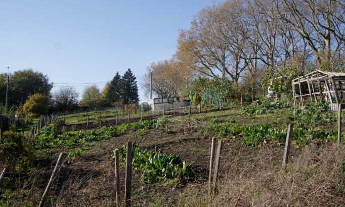 Pour la préservation des jardins et pâtures du Thier-à-Liège !
