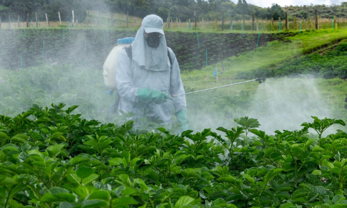 Disparition des insectes due aux pesticides : une nouvelle sonnette d’alarme et toujours aucune action ? Cette fois nous ne laisserons pas passer !