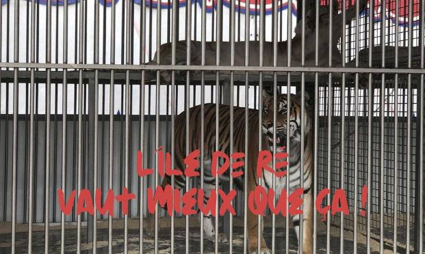 Non aux cirques itinérants sur l'Île de Ré l'été !