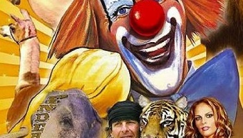 Interdiction des cirques et autres exhibitions utilisant des animaux à Charleville-Mézières