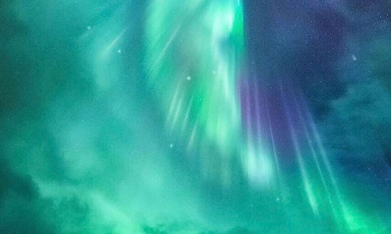 Que les services sociaux cessent leurs erreurs !!!