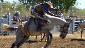 Pour l'annulation du rodéo prévu le 15 août 2015 à St Agrève