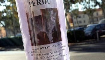 Arrêtons la disparition de nos chats à St Gervais !