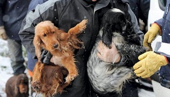 Que les sanctions soient appliquées au maximum : amende et prison !