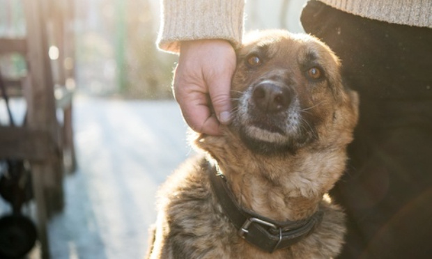 Que le refuge reste ouvert