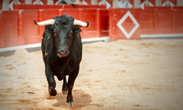 SUPPRESSION DES CORRIDAS EN FRANCE