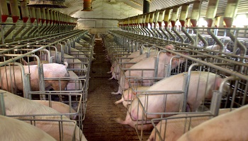 Que les agriculteurs soient payés pour leur travail !