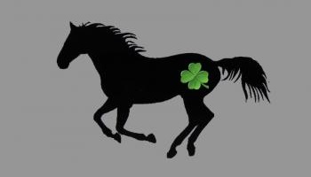 Pouvoir créer notre écurie sur le terrain de Sessenheim