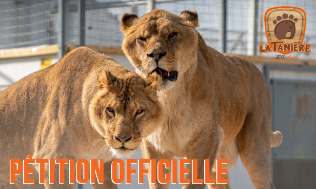 NON A LA FERMETURE ADMINISTRATIVE DU ZOO REFUGE LA TANIERE