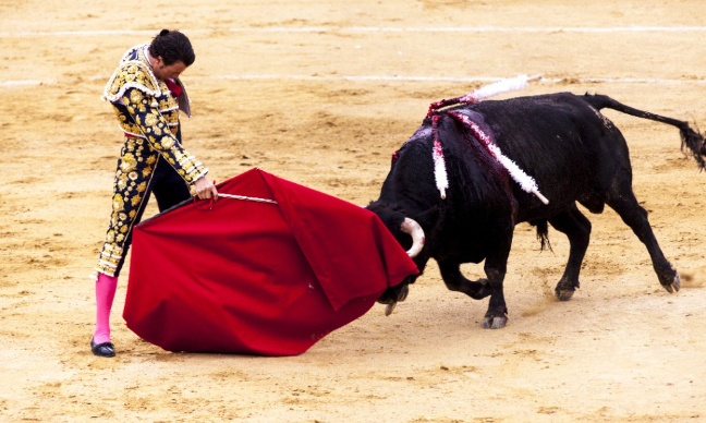 Fermez les arènes pour corridas