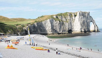 Cote d'Albatre : autorisons les chiens à accompagner leur maître à la plage sur un horaire défini
