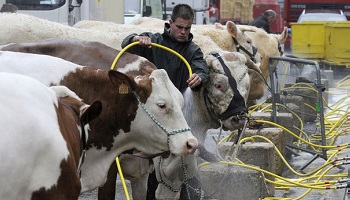 Défendons l'élevage français !