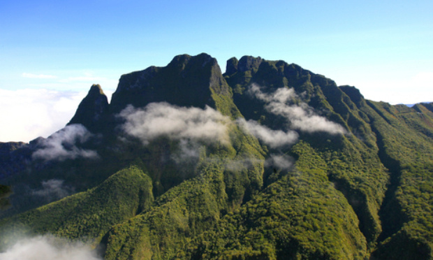 Les enfants déracinés et arrachés à leur île natale de la Réunion entre 1962 et 1984