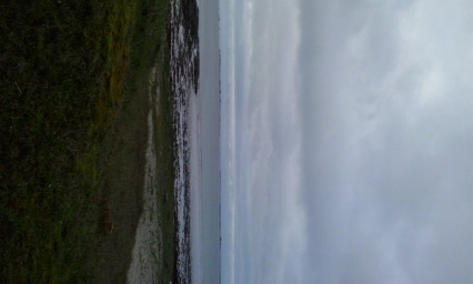 Urgence pour les Générations Futures