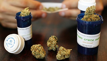 La légalisation du cannabis