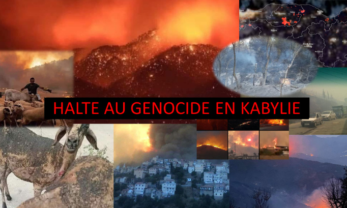 HALTE AU GÉNOCIDE EN KABYLIE