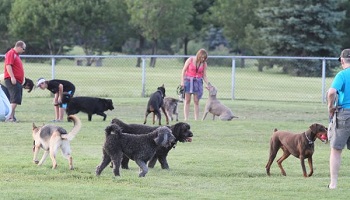Oui aux parcs canins