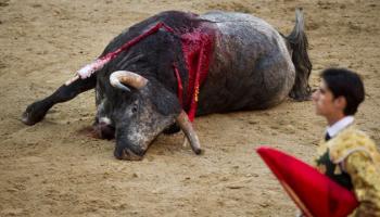 Pour l'abolition de la corrida en France