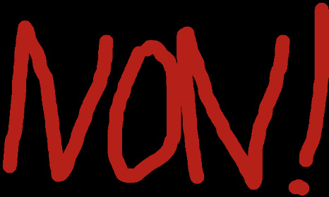 Pétition contre la nomination du président de la jeunesse nationale