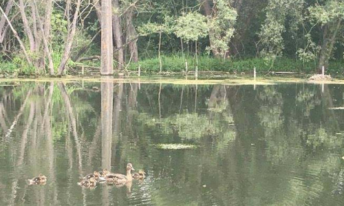 Non à l'implantation d'une société de tri et de stockage de déchets
