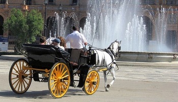 Mettre fin aux tractages de calèches en Espagne
