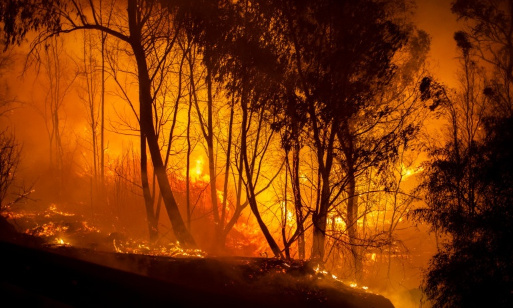 Main courante / plainte : La Kabylie agonise !